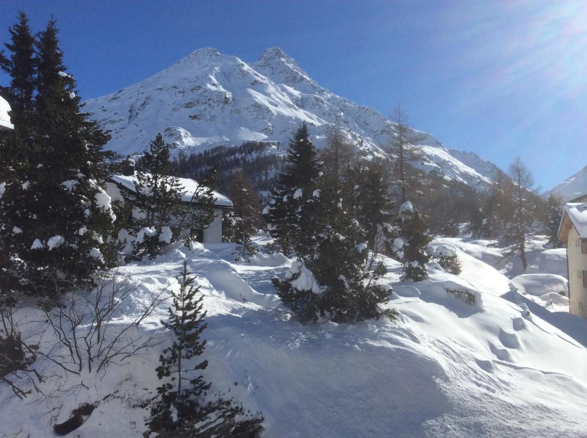 Chesa La Montanella - Ferienwohnung, Maloja Extérieur photo